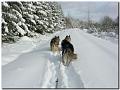 079 Januar 2010 026